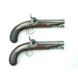 A Pair of Irish 32-bore percussion belt pistols by Calderwood of Dublin, 5inch sighted barrels