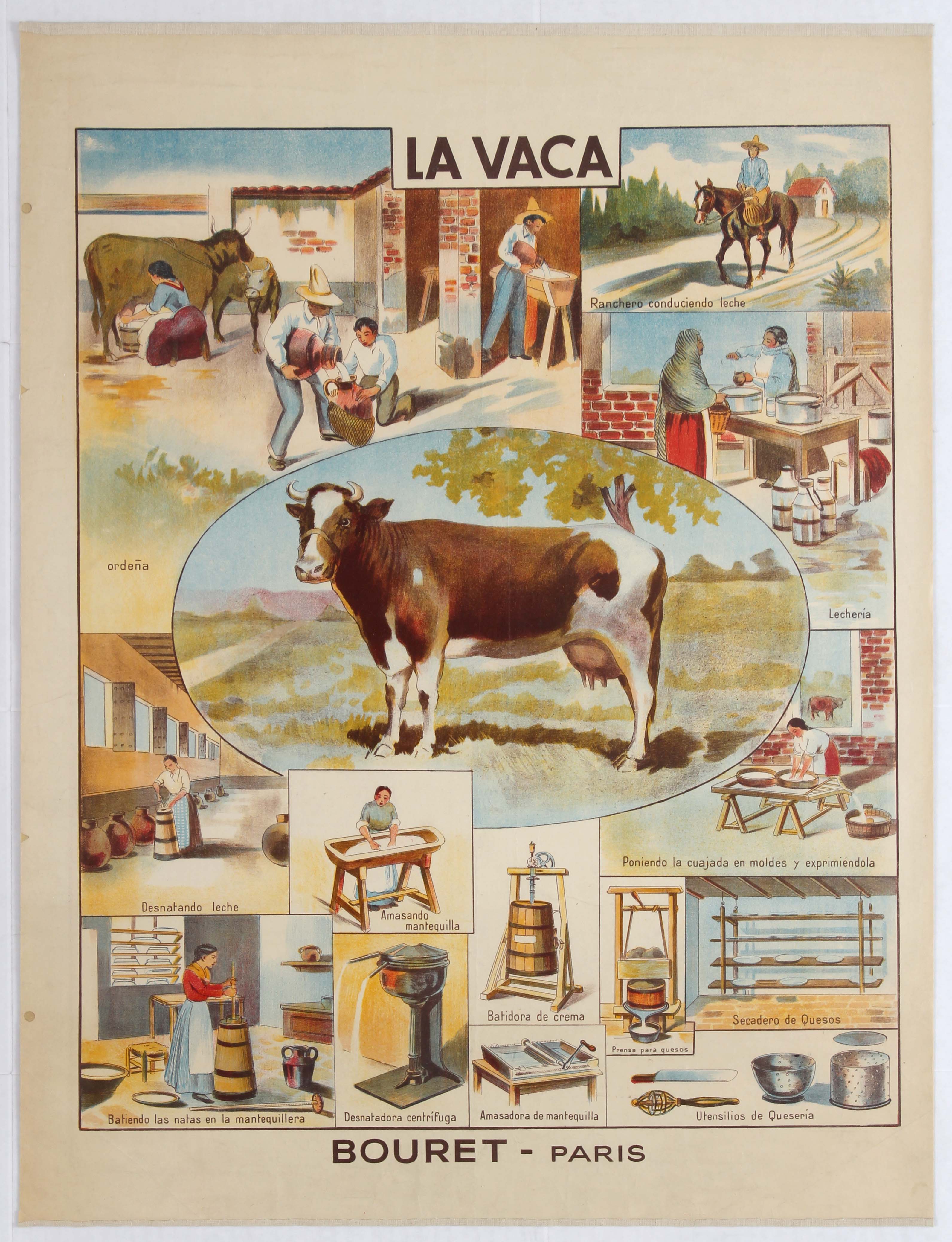 School Learning Spanish Poster Cow