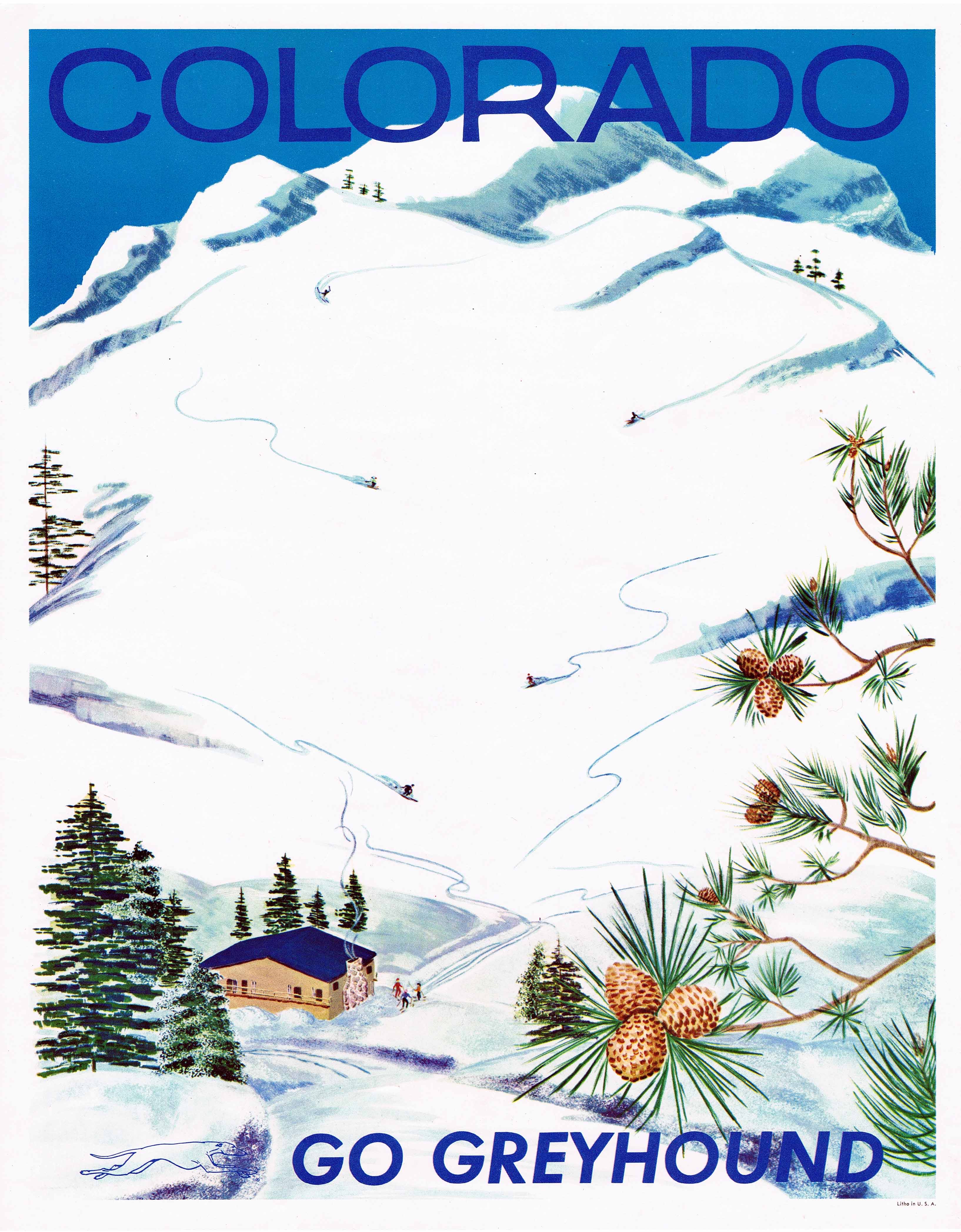Colorado Ski Poster Greyhound