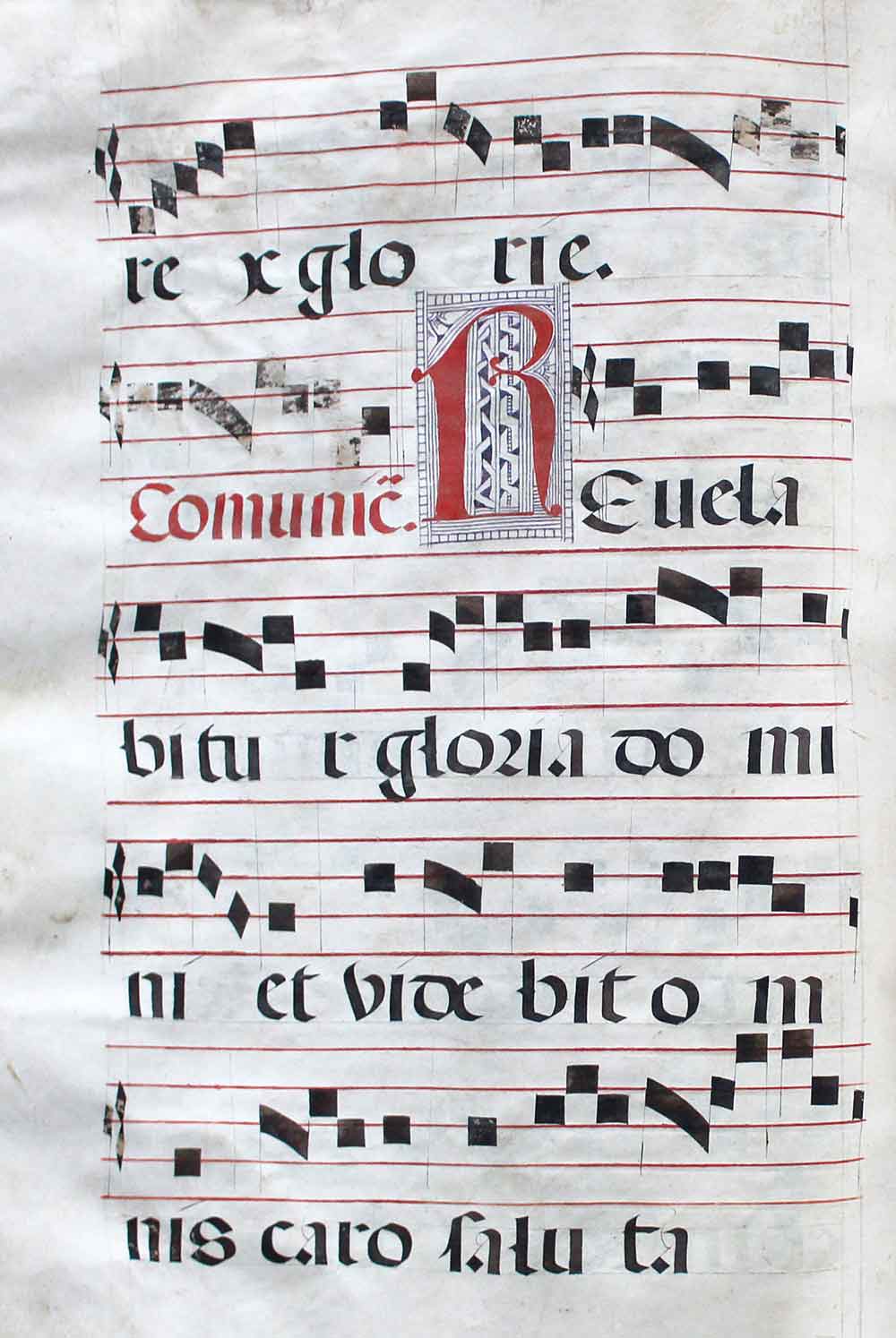 Antiphonar. Lateinische Notenhandschrift auf Pergament, wohl Spanien 18. Jh. Imp.Fol. (ca. 55 x 40 - Image 3 of 3