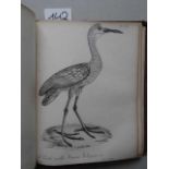 Zoologie.- Vieillot, L.P. u. M.P. Oudart. La Galerie des Oiseaux. 2. Bd. (3 Tle. in 1 Bd.). Paris,