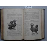 Zoologie.- Weber, H.C.E. Das Haushuhn und seine Arten. 2. Aufl. 2 in 1 Bd. Hannover, Hahnsche