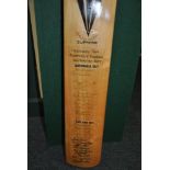 Duncan Fearnley cricket bat,