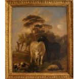 English artist 19th Century monogrammed P.B., A white and a black horse with sheeps and ducks in