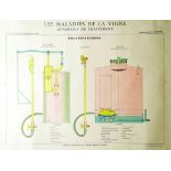 Les Maladies de la Vigne vers 1930 Appareils de traitement. Protat frères Macon Aff. Entoilée. /