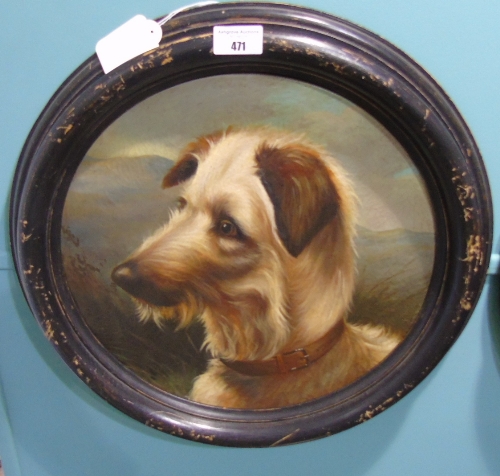 A 19th Century Oil on Canvas, Circular Framed - Study of a Wire Haired Terrier. 36cm diameter.