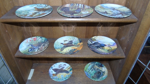 Eight Royal Grafton Collectors Plates - Wild Birds.