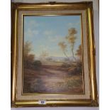 A 20th Century Oil on Canvas of a Country Scene, signed D Tanner.