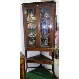 A Large 19th Century Mahogany Corner Cabinet on Stand, the top with swan neck pediment over full