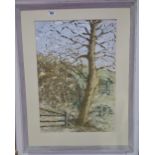 A Gouache on Paper by Vivienne Baldwin, Trees in a Landscape, Dated 1960, 51x36 cm.
