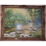 An Oil on Canvas by Derek Joynson of River Bray; signed and dated 1979,well framed.