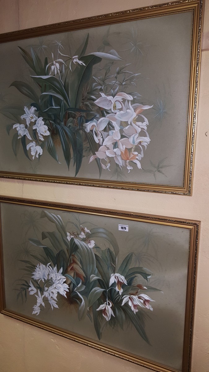 A Pair of Watercolours, One a Still Life of White Orchids and Leaves; late Victorian school.