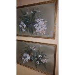 A Pair of Watercolours, One a Still Life of White Orchids and Leaves; late Victorian school.