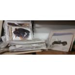 A Large Collection of Mounted Coloured Prints, to include some golfing and vintage cars.