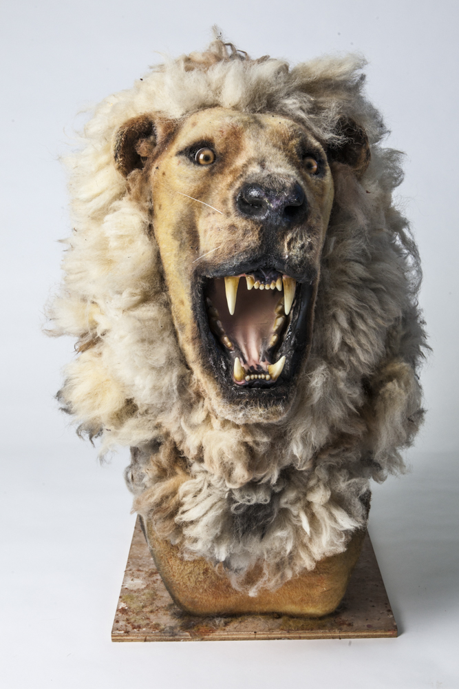 A TAXIDERMY STYLE LIONS HEAD (PROP), approx. 3.5ft high.