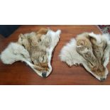 TWO WOLF HEAD SKINS.