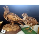 TWO SMALL BIRD TAXIDERMIES (2).