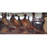 THREE TAXIDERMIES of cock pheasants on bases, one by James Gregory & Son, Rathnew, Co. Wicklow (3).