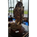 AN OWL TAXIDERMY on a stand, approx. 15in high,