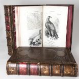 YARRELL, WILLIAM - A HISTORY OF BRITISH BIRDS, London, 1856, 3 vols, 8vo, full leather, marbled