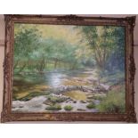 An Oil on Canvas by Derek Joynson of River Bray; signed and dated 1979,well framed.