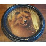 A 19th Century Oil on Canvas, Circular Framed - Study of a Husky. 36cm diameter.