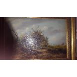 A 19th Century Oil on Canvas of a Country Landscape in a Gilt Frame; with thatched cottage,