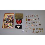 Collection of assorted badges including military and other enamelled examples together a collection