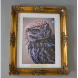 K. BALL. Two pencil signed photographs including a limited edition 1/500 "Little Owl".