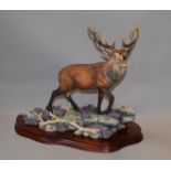 Border Fine Arts Figure "Highland Majesty" No. BO220, Signes R.