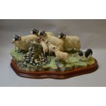 Trio of Border Fine Arts James Herriot Collection figure groups, includes Limited Edition 15/2500.
