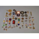 A small collection of military badges, medals,