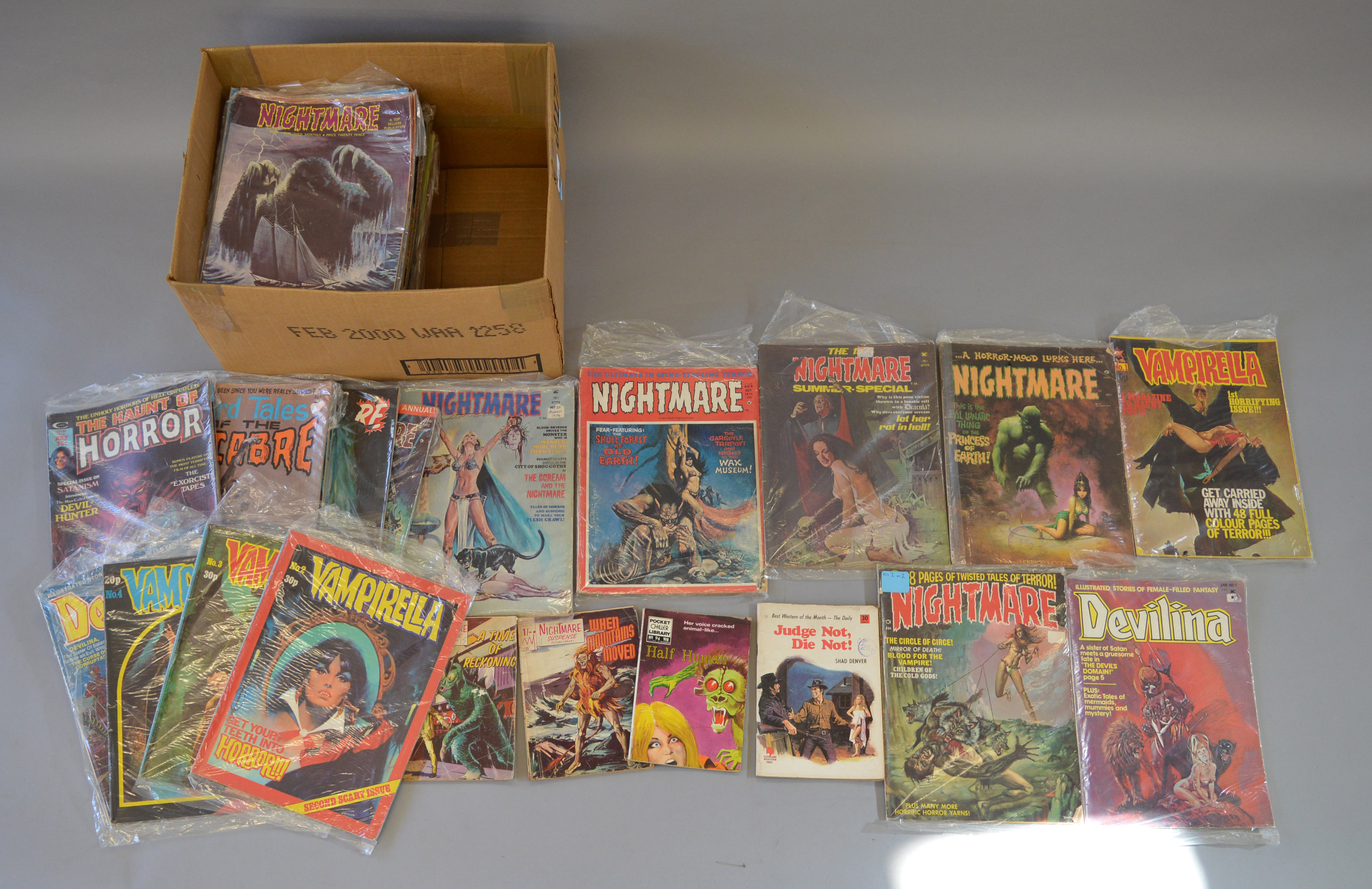 Collection of assorted horror comics including Vampirella #1, Demon, Nightmare etc.