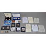 Nine 925/999 silver coins/medallions, some proof,