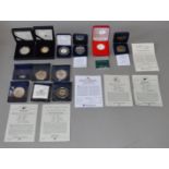 Twelve 925/999 Silver proof coins/medallions includes Royal Mint examples,