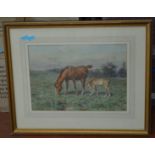 JOSEPH DIXON CLARK (1849-1944). Watercolour of two grazing horses. Framed & Glazed. 53cm x 43cm.