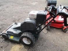 Hayter rotary pedestrian mower