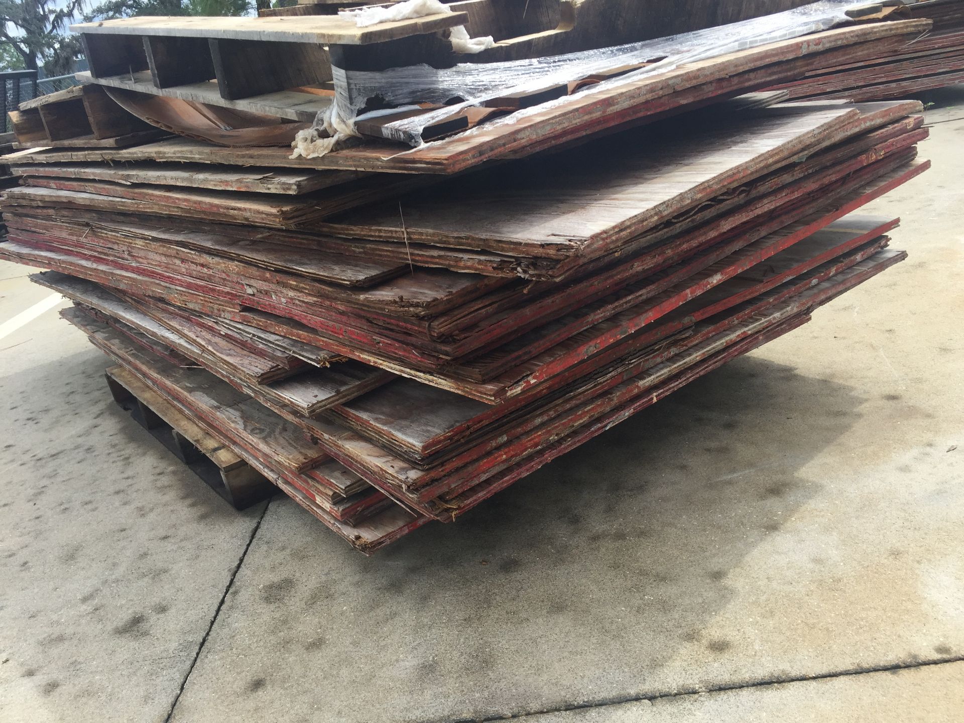 PALLET OF PLYWOOD - Image 2 of 2