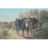 Schouten H., cattle in a landscape, pastel, 28 x 43 cm