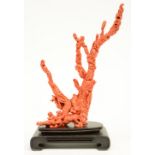 A Chinese red coral sculpture depicting a Guanyin sitting on a red dragon and accompanied by a