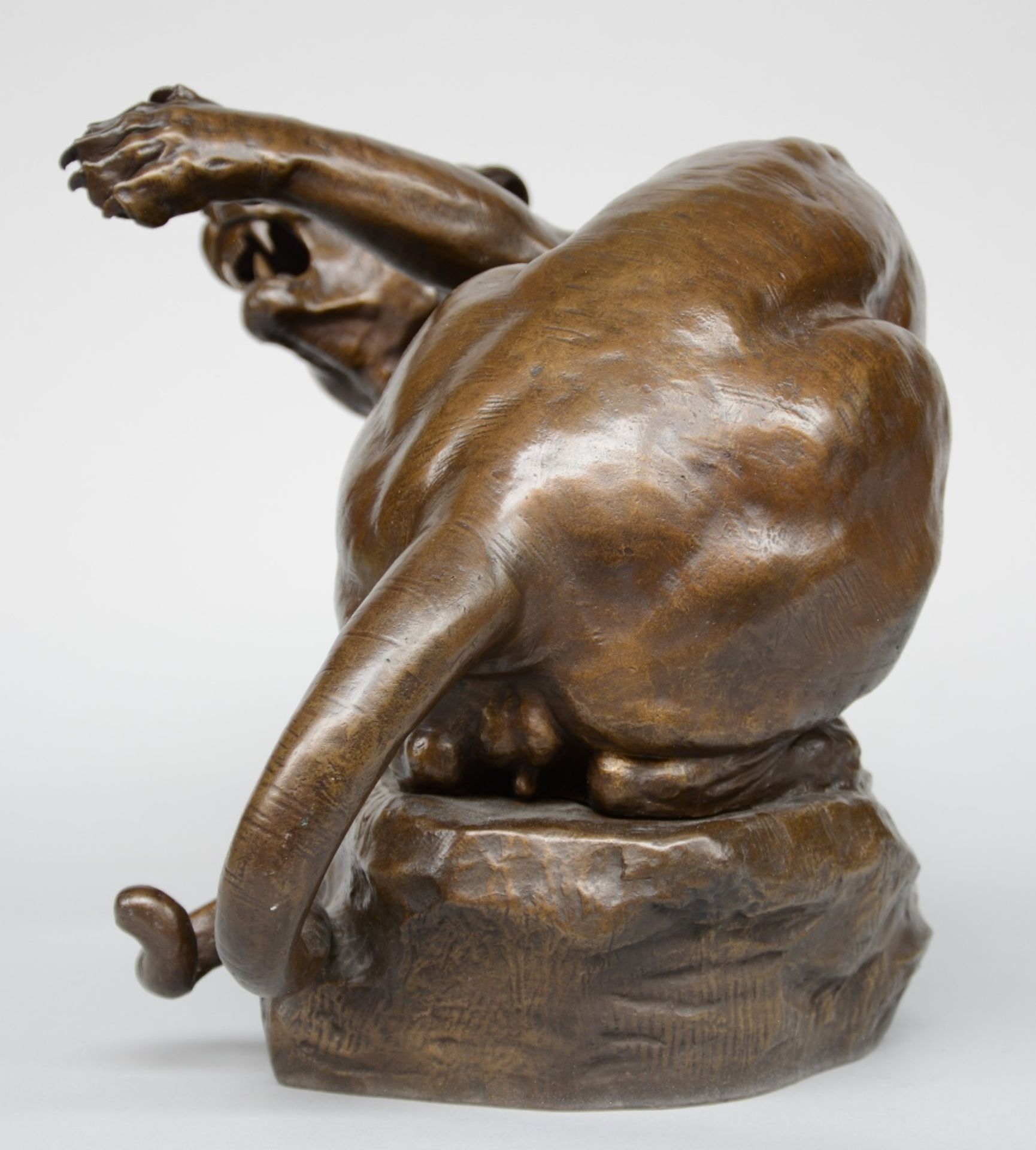 Bureau L., lioness and her kill, bronze, 19thC, H 31 - W 63,5 cm - Image 2 of 7