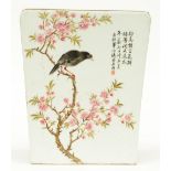 A Chinese famille rose plaque, representing a bird on a flower branch, signed by the artist,