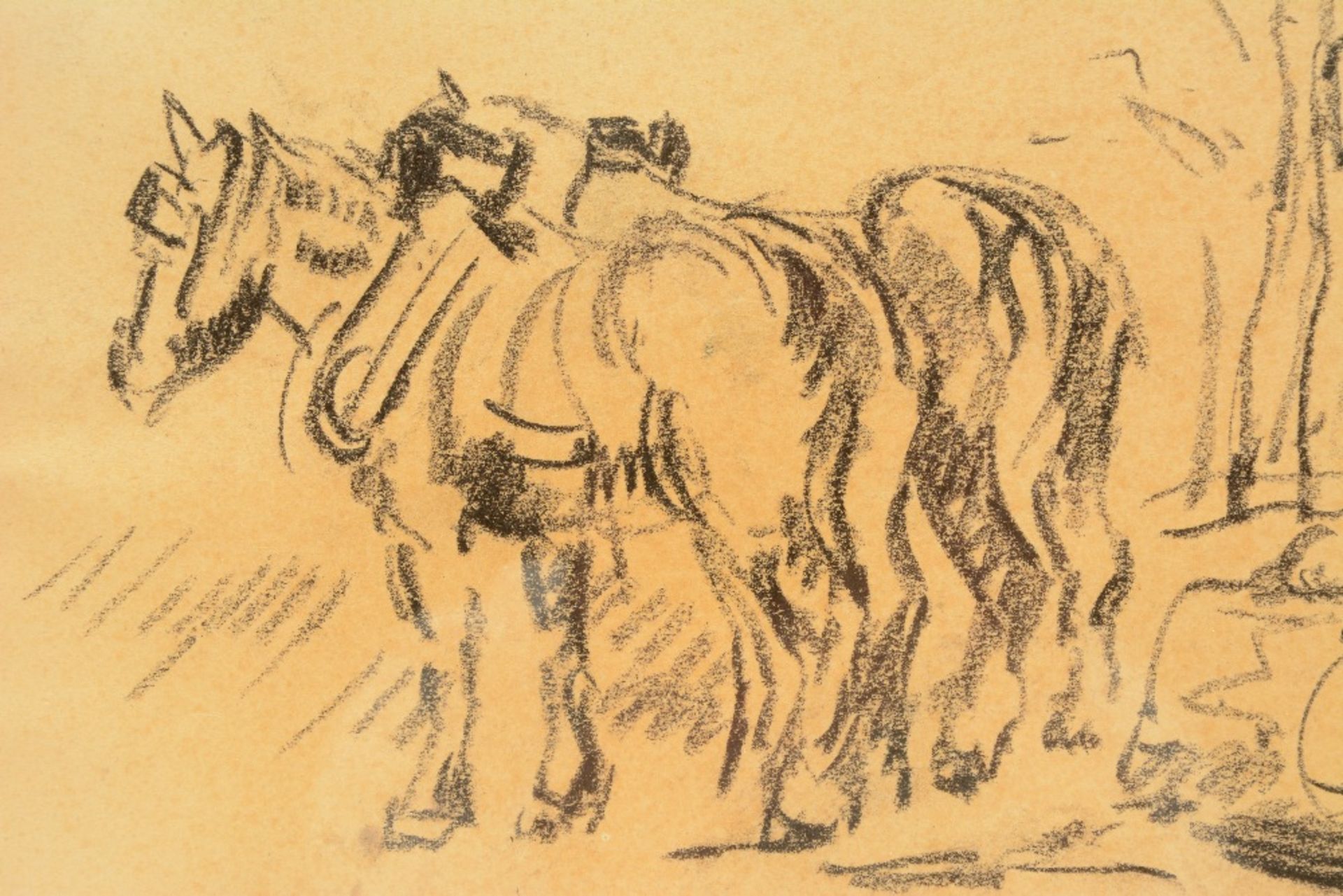 Malfait H., horses, charcoal, 25,5 x 34,5 cm