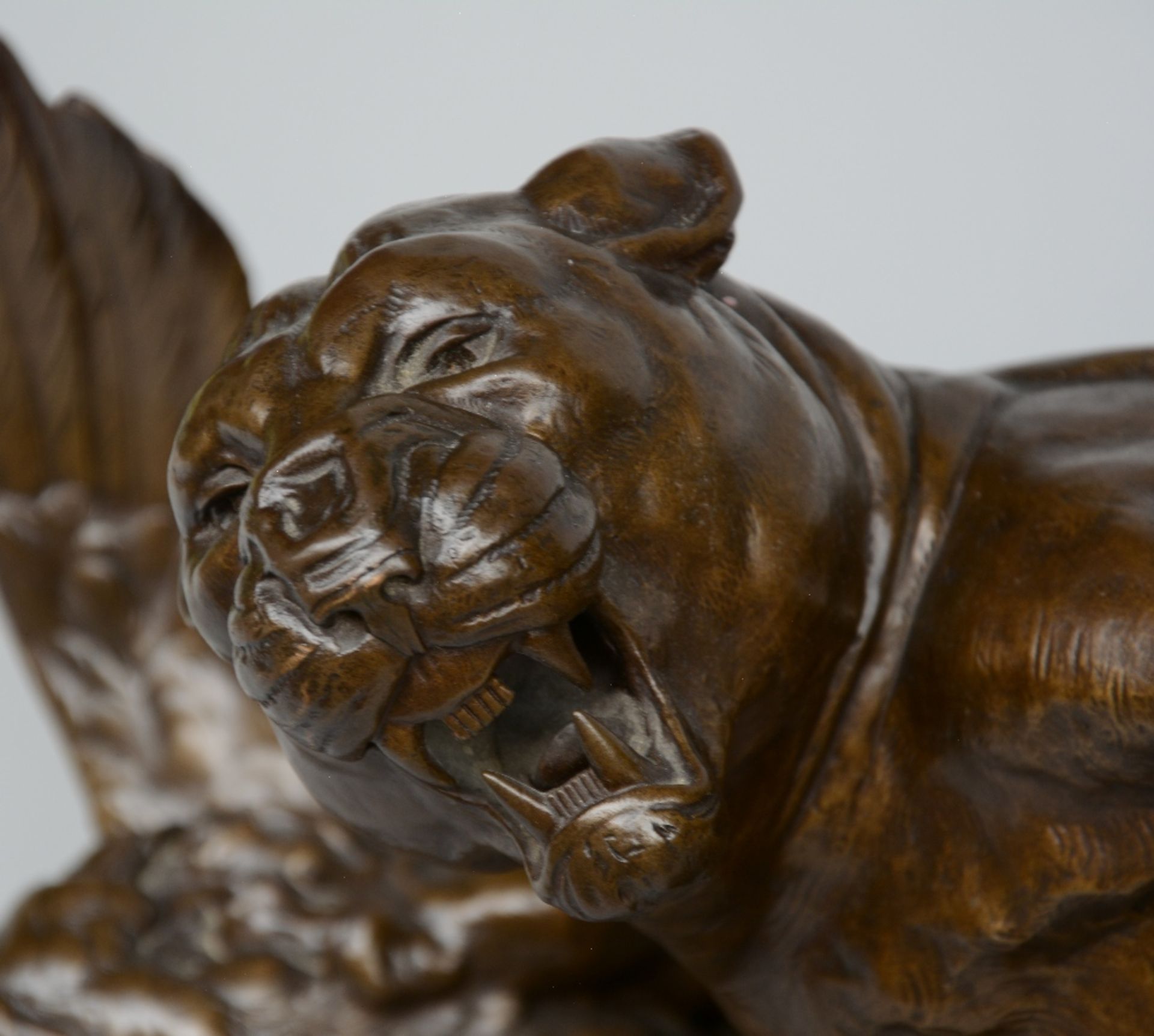 Bureau L., lioness and her kill, bronze, 19thC, H 31 - W 63,5 cm - Image 5 of 7