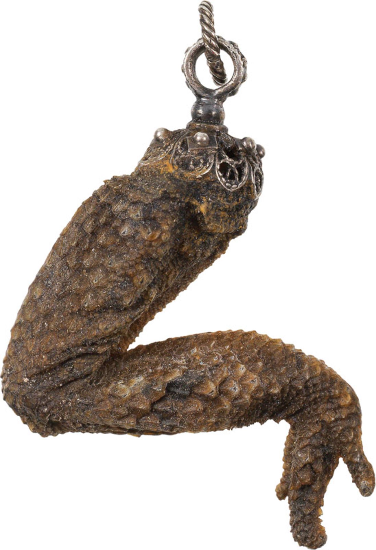 Amulet with foot of a lizard, South German, 18th century foot of a lizard, silver; l. 5.5 cmViennese