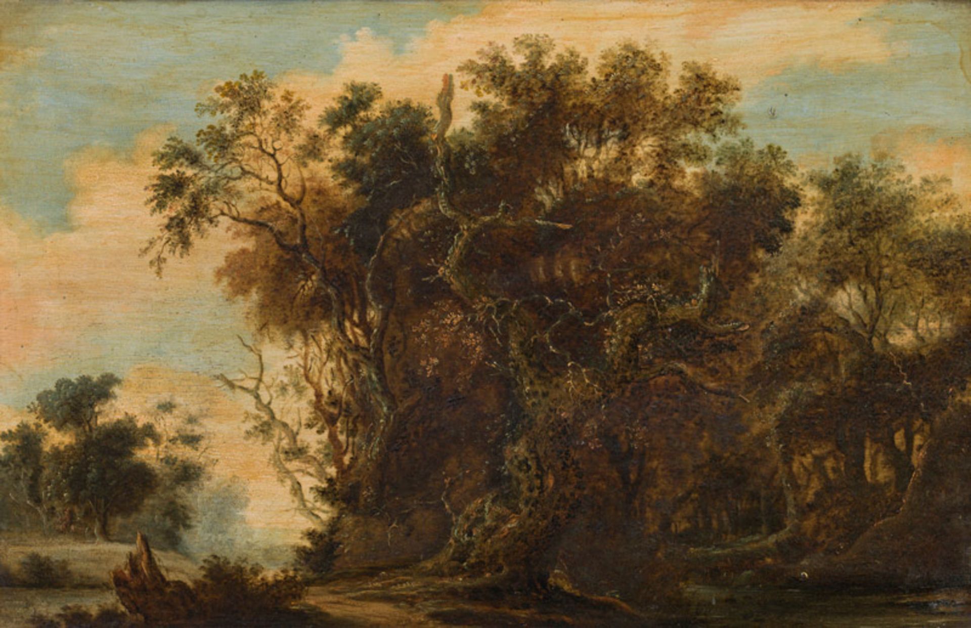 Circle of Joachem Govertsz. CamphuysenForest landscape with trees oil on panel; 28.5 × 45 cmcoat