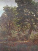 Louis CABAT (1812-1893), "Wald bei Barbizon", Eichenbäume. Öl auf Leinwand, signiert unten rechts.