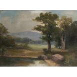 Anonymer Maler, 19./20. Jh. "Teichlandschaft", Öl/Lw., 47 x 65 cm, rest. bed.
