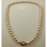 Perlenkette, 51 Akoya-Zuchtperlen ø ca. 7.8 mm, leichte Unebenheiten in der Oberfläche, Schließe