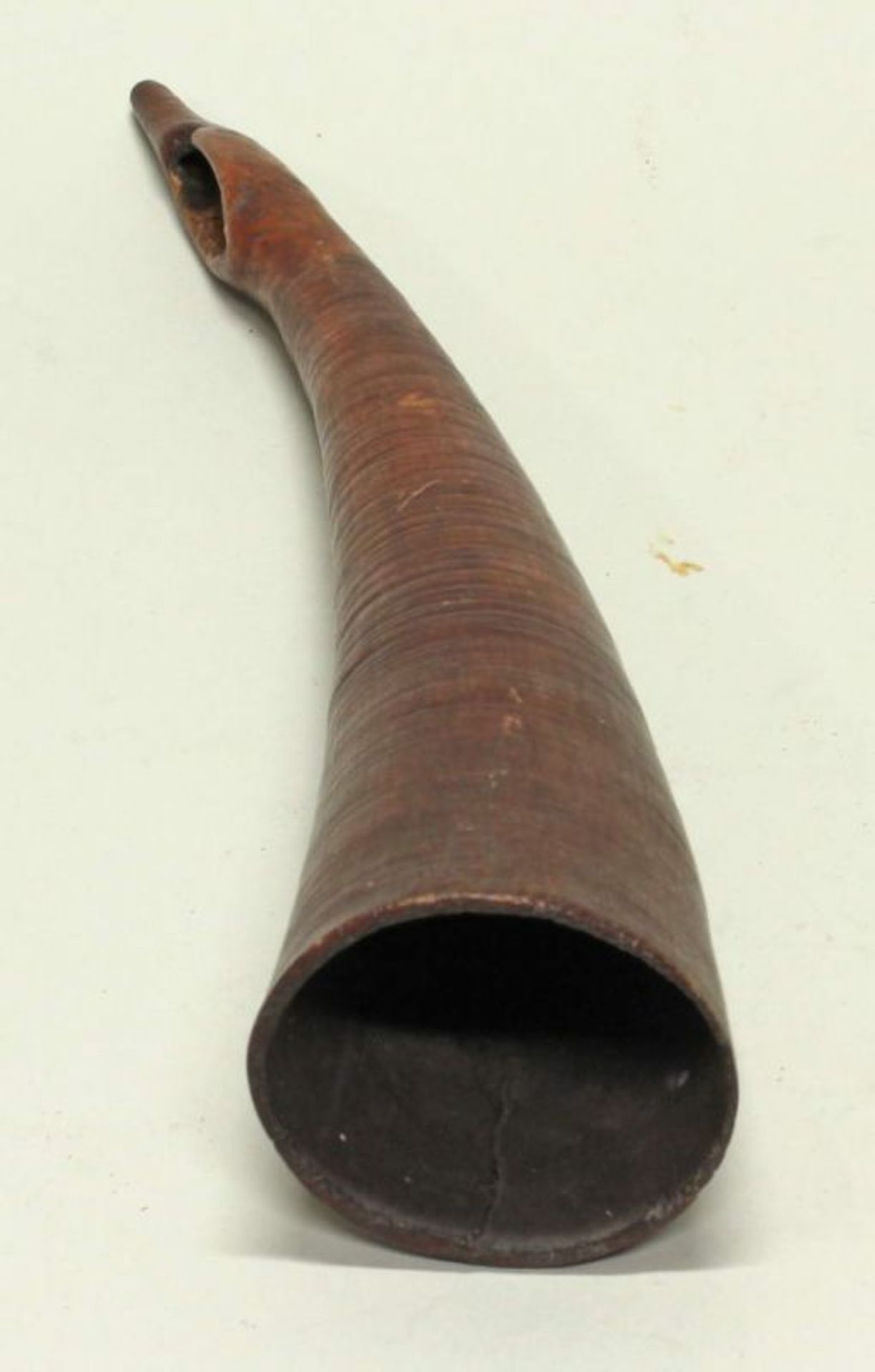 Musikinstrument, wohl Zaïre, Afrika, authentisch, Horn, 38 cm. Provenienz: Rheinische - Image 2 of 2